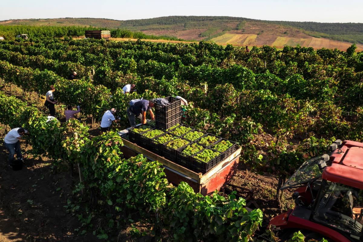 Securing Agriculture’s Workforce (SAWA) Act gets support from the Ag Wage Reform Coalition