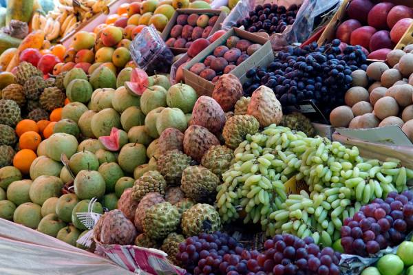 Emerging markets reflected in the FAO OECD outlook 2026 - 2035