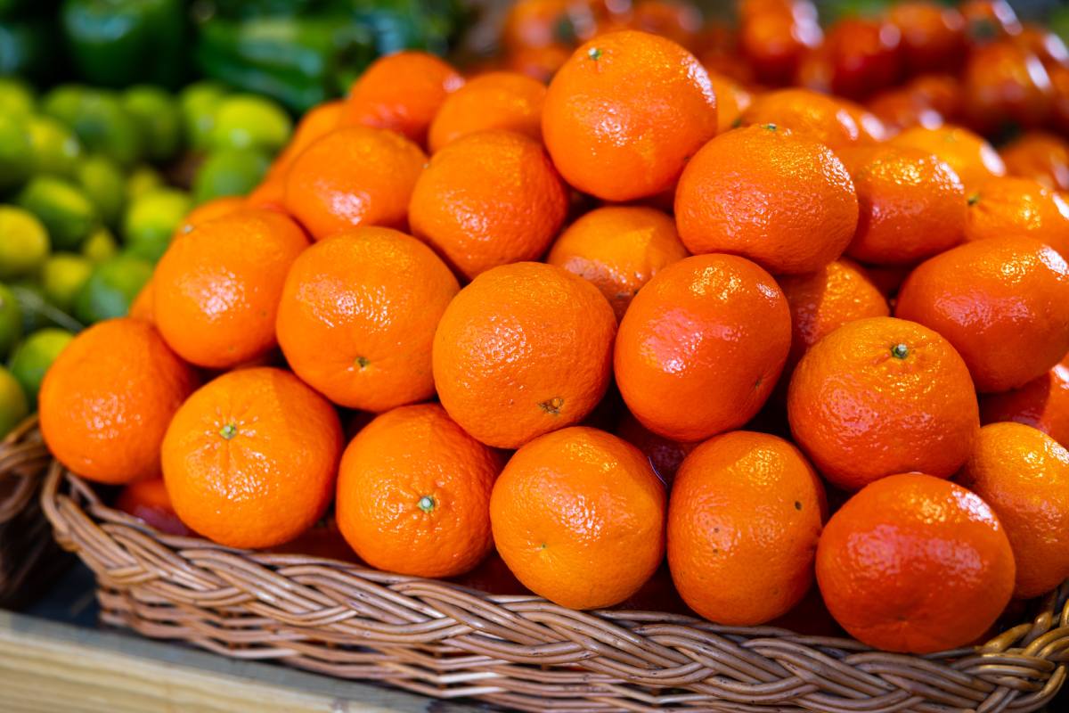 Low US volumes open the door to a promising Chilean citrus season 