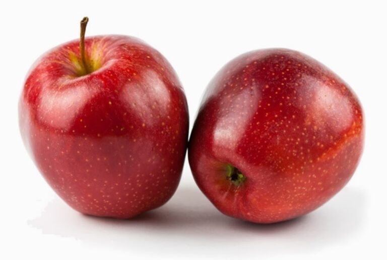 Chilean apple exports