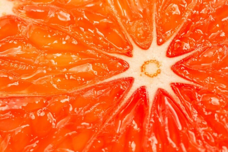 grapefruit 