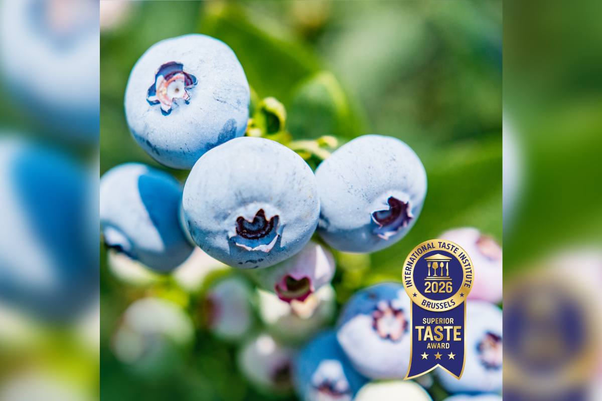 The quality of Planasa’s breeding programs once again recognized with international awards