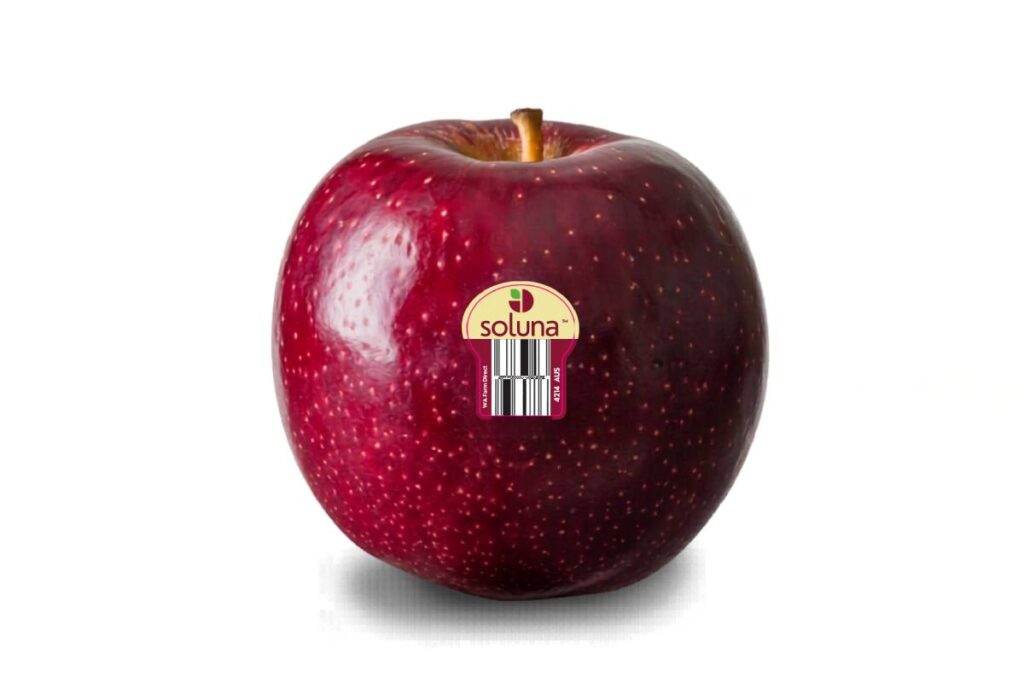 Australian Soluna apples make US comeback with expanded coast‑to‑coast supply