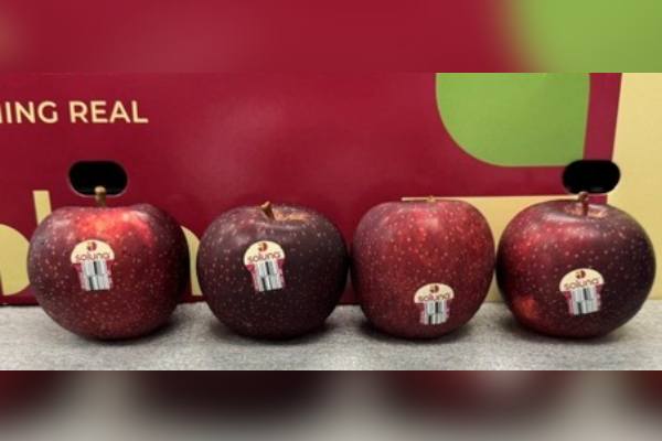 Soluna apples
