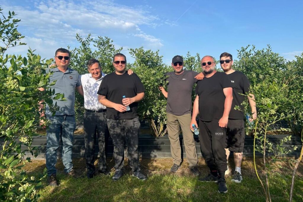The silent blueberry revolution in Georgia: A unique integration model at the gates of Eurasia