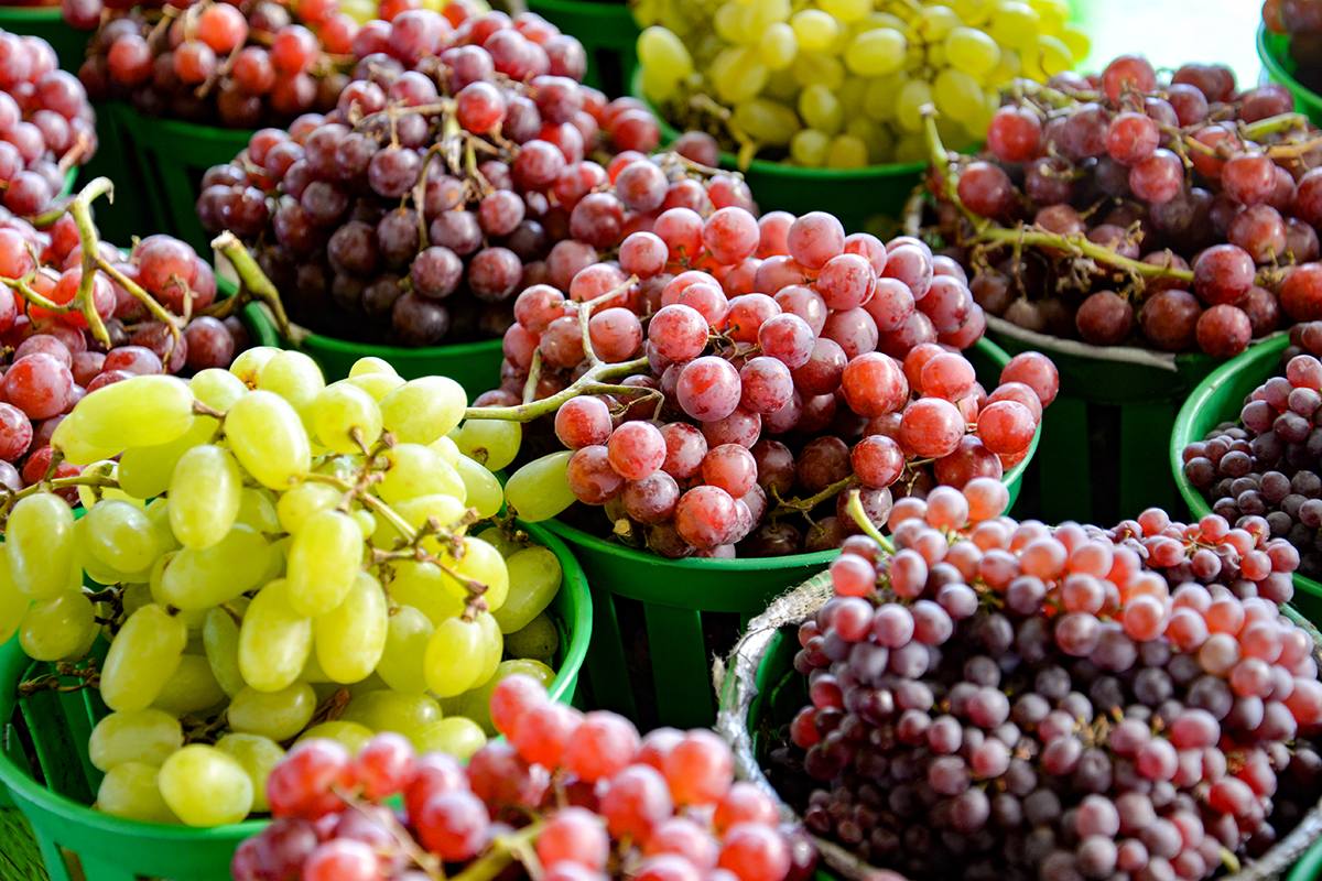Report: Table grapes market to hit $128.9B by 2033
