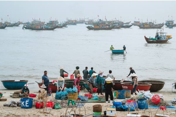Emerging markets reflected in the FAO OECD outlook 2026 - 2035