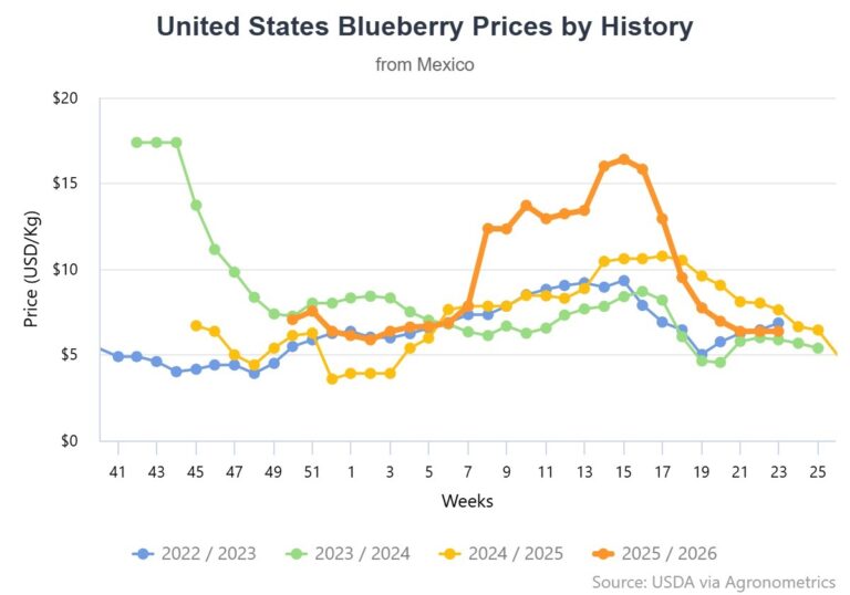 Mexican blueberry
