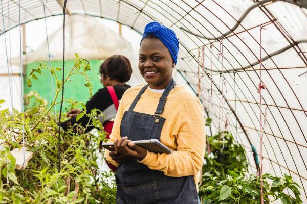 Women in agriculture benefit from FAOSTAT data