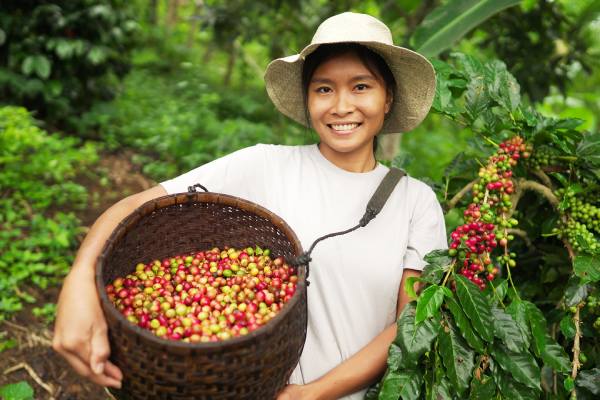 Women in agriculture benefit from FAOSTAT data