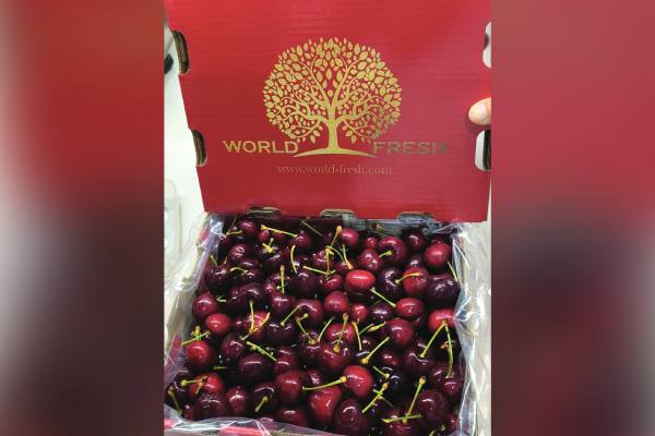 World Fresh Export canadian cherries