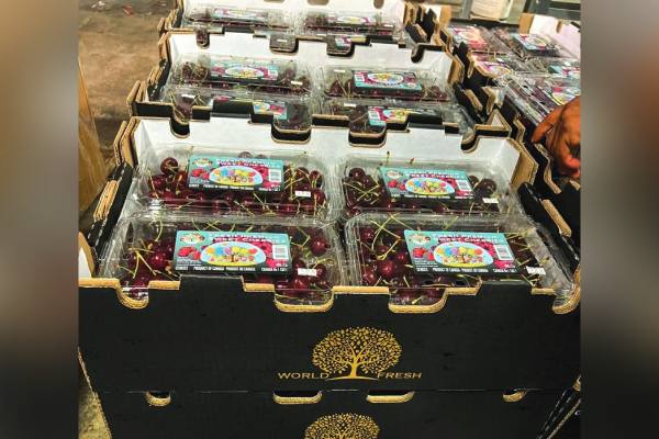 World Fresh Exports canadian cherries