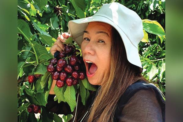 World Fresh Exports canadian cherries
