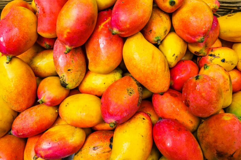 Dominican mangoes