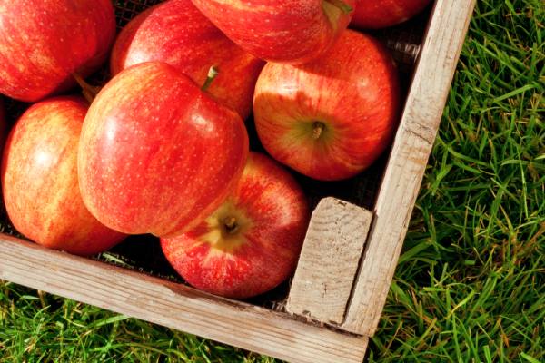 Crates with Brazilian apples, potentially