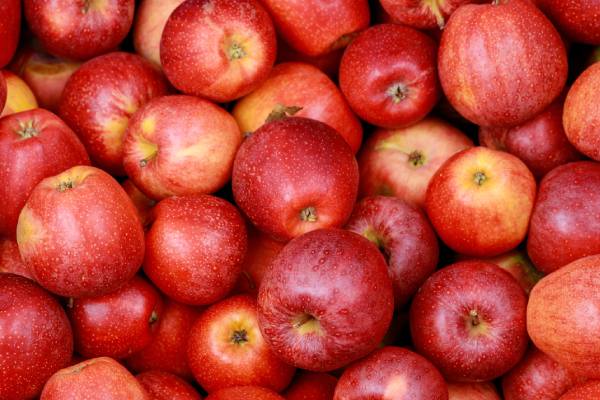 Brazilian apples, potentially
