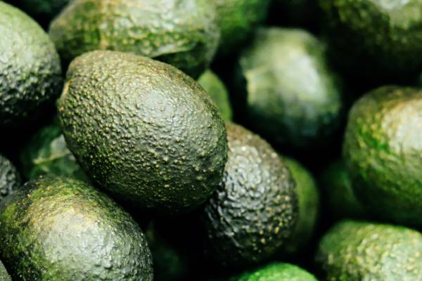 potentially avocados from new zealand