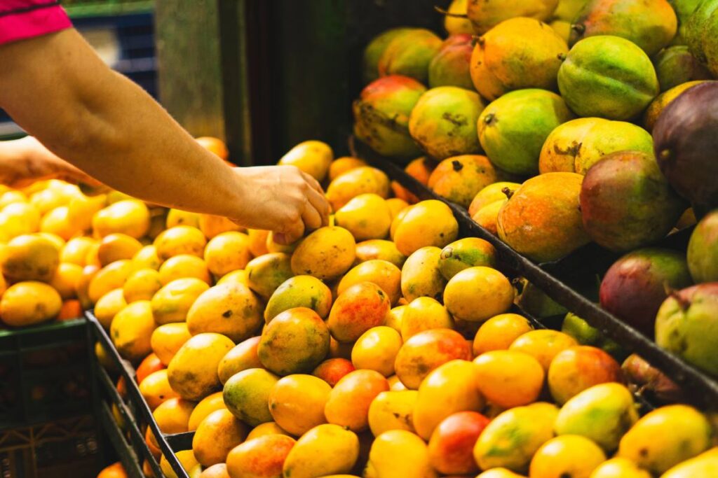 Sugar mango wants to be the next big Colombian ag-export