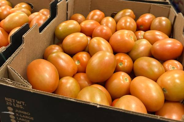 Fresh Farms baja california tomatoes