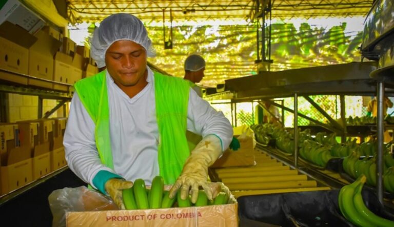 Colombia steps up TR4 protectio