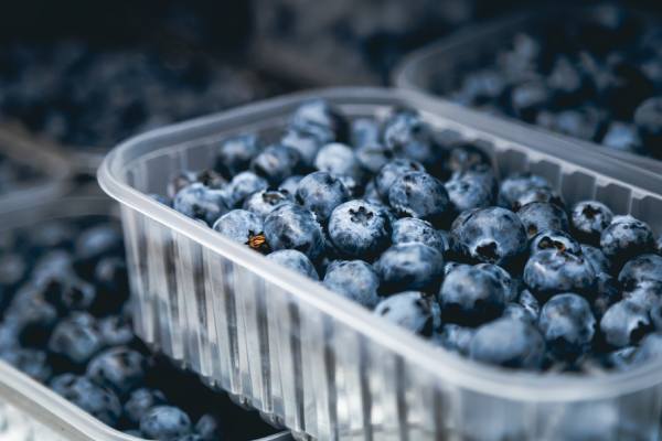 Blueberries in case
