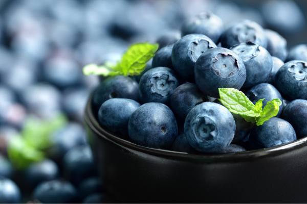 Blueberries, close up