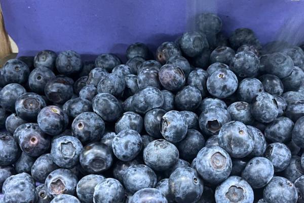 blueberry box