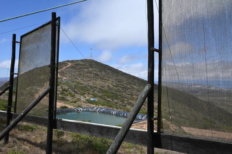 pioneering fog-harvesting project