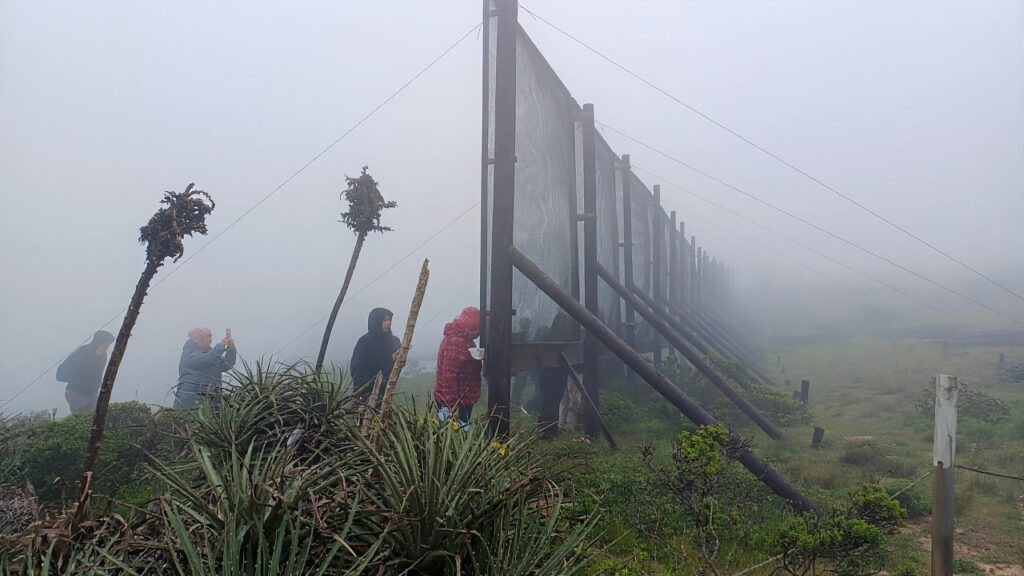 Chilean project harvests fog for water supply in drought-stricken region