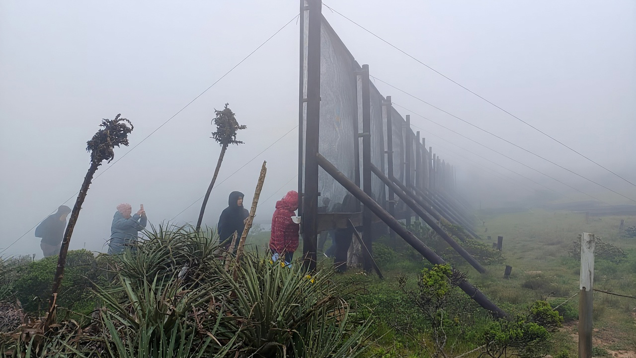Chilean project harvests fog for water supply in drought-stricken region