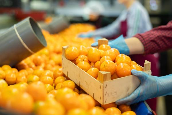 Potentially Chilean citrus facility