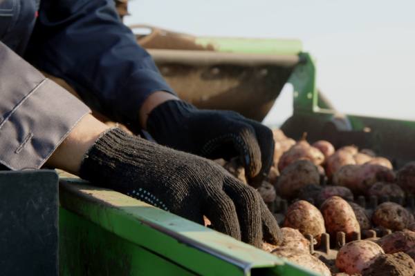 Workforce potentially benefited by the SAWA bill