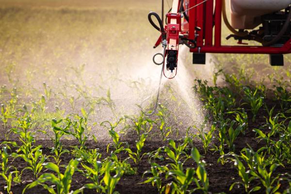 Fertilizer costs