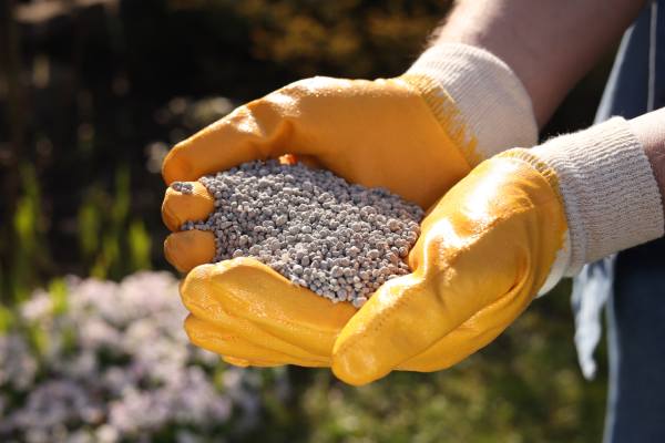 Fertilizer costs