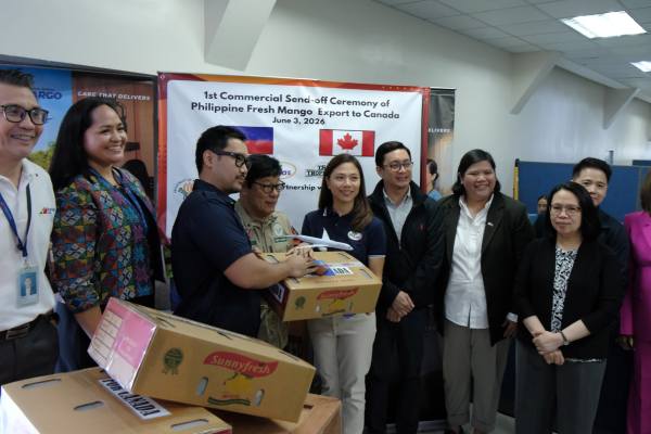 Filipino mango shipment to Canada