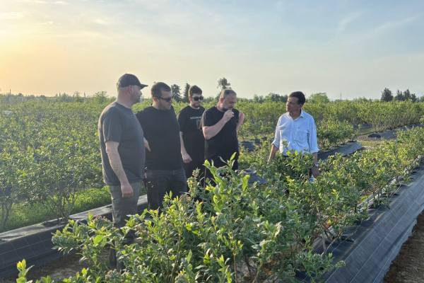Mario Steta's Georgia visit 