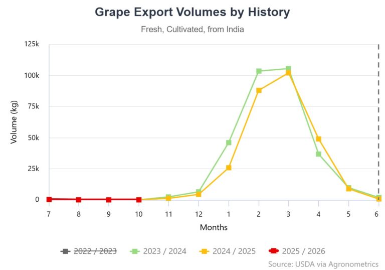 Indian table grape