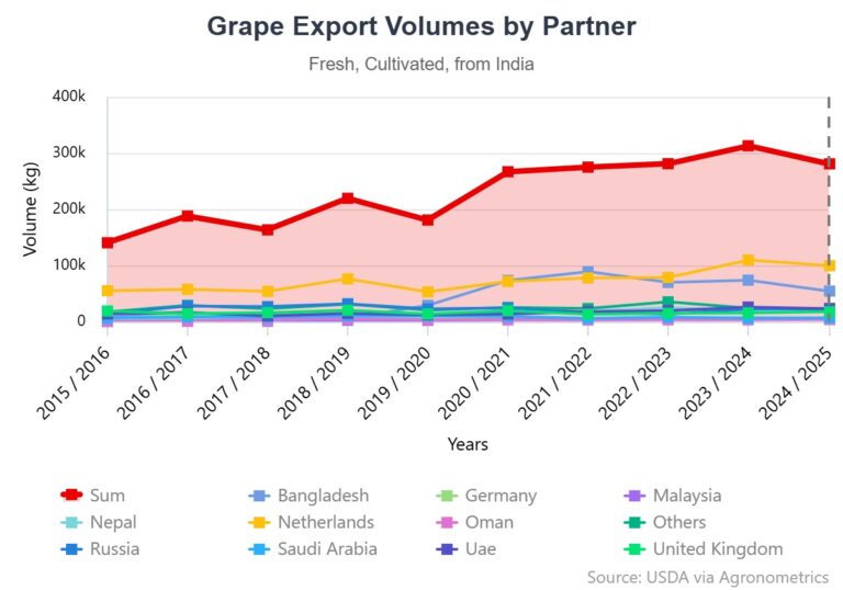 Indian table grape