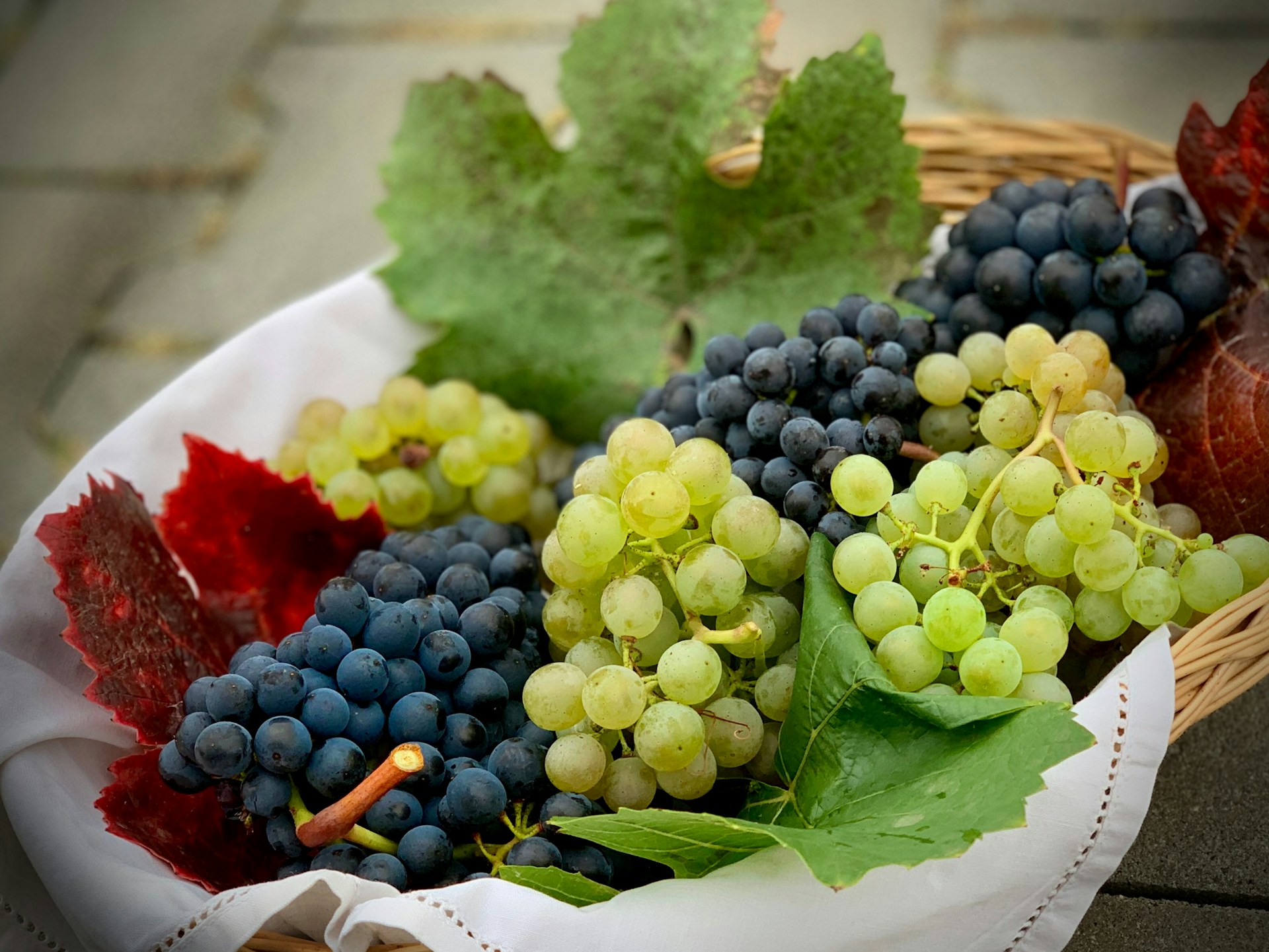 Italian table grapes to make South African debut