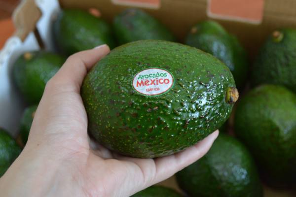 avocados from mexico