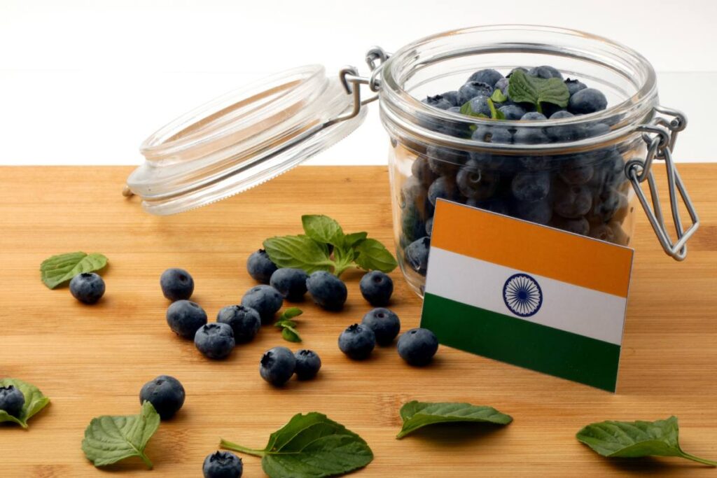 India's blueberry industry gains momentum as grower interest continues to rise