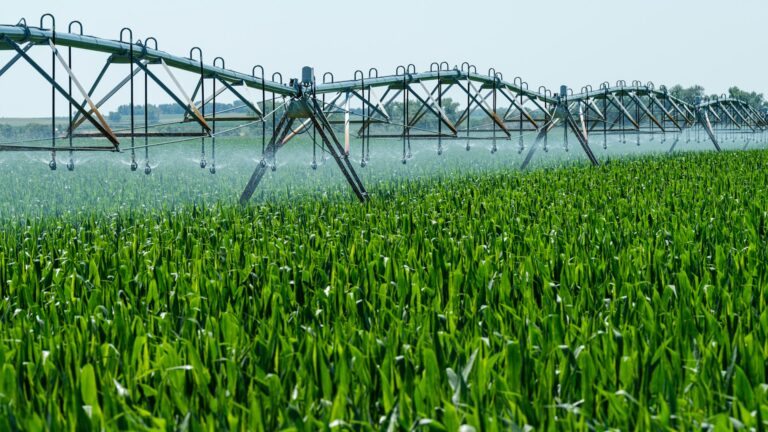 irrigation AI twin