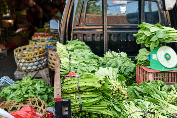 Emerging markets reflected in the FAO OECD outlook 2026 - 2035