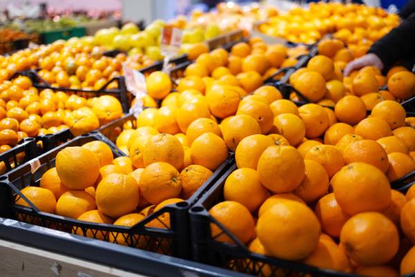 potentially Chilean citrus
