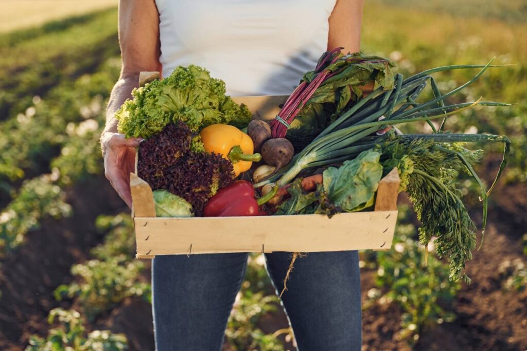 US organic price gap climbs up to 59 percent in 2026