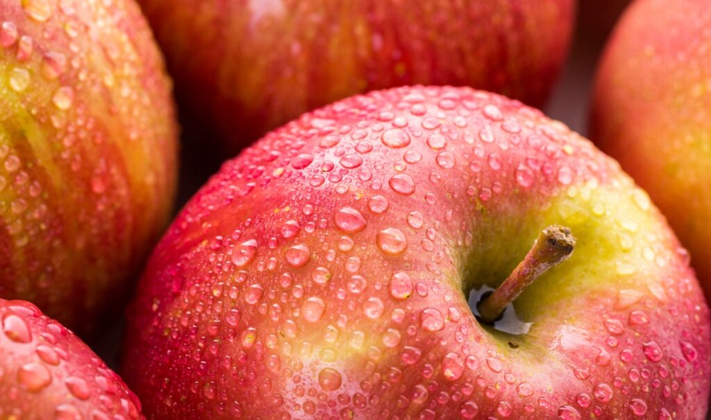 Chilean apple exports to drop 9 percent