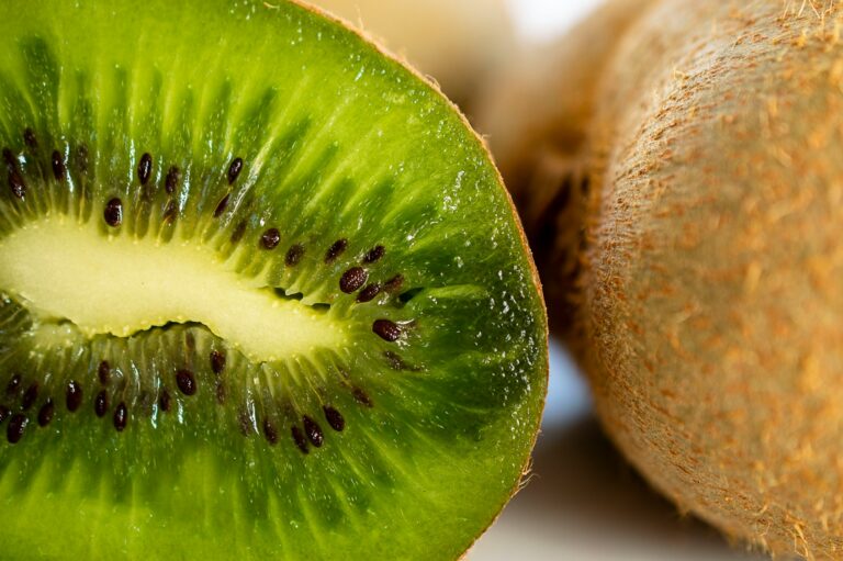 Chilean kiwifruit