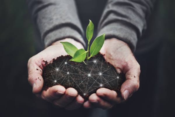 Tech agriculture