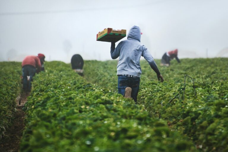 farmer sentiment 