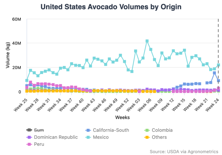 Colombian Avocados
